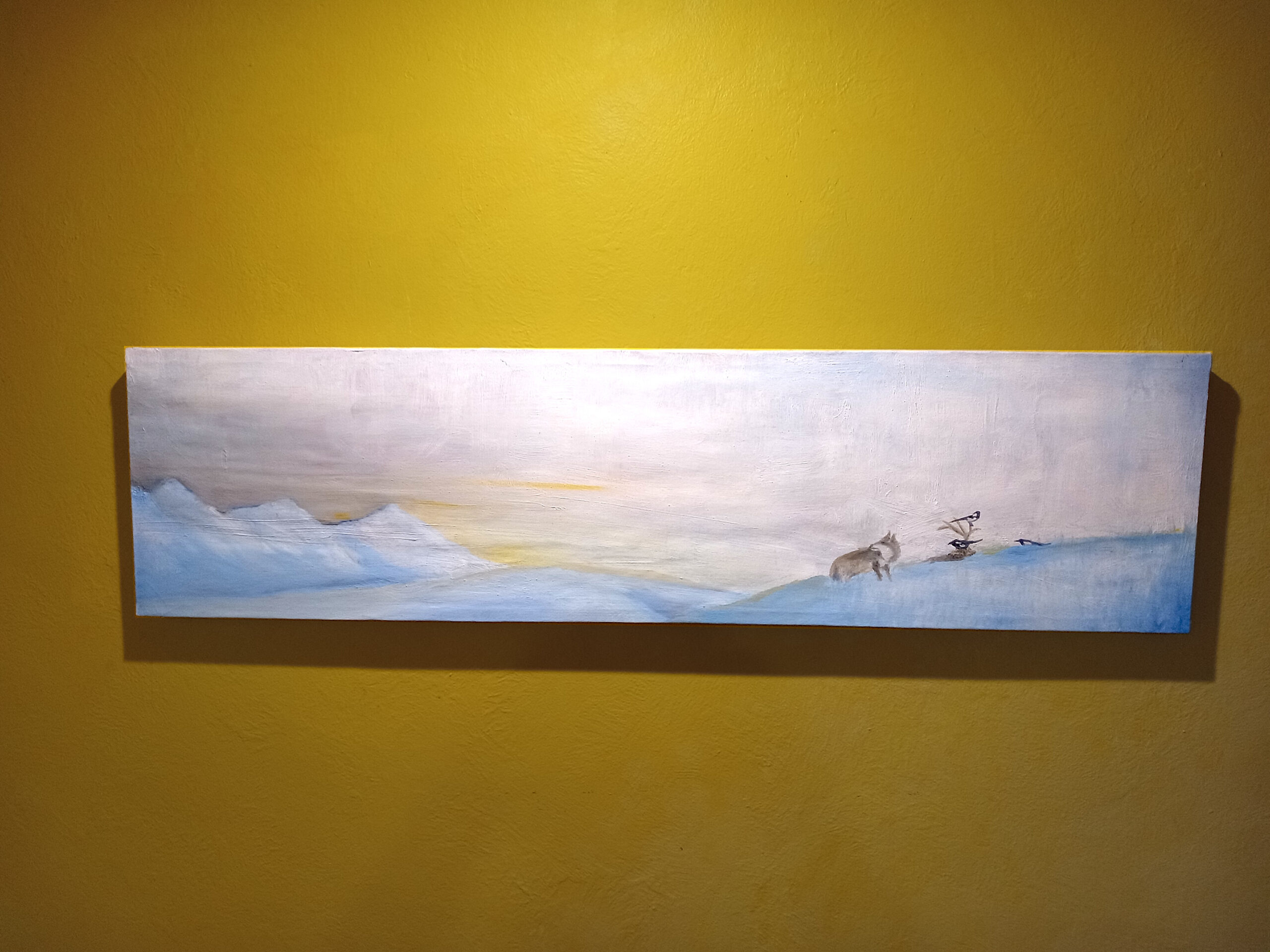 coyote and Ravens coyote and Ravens